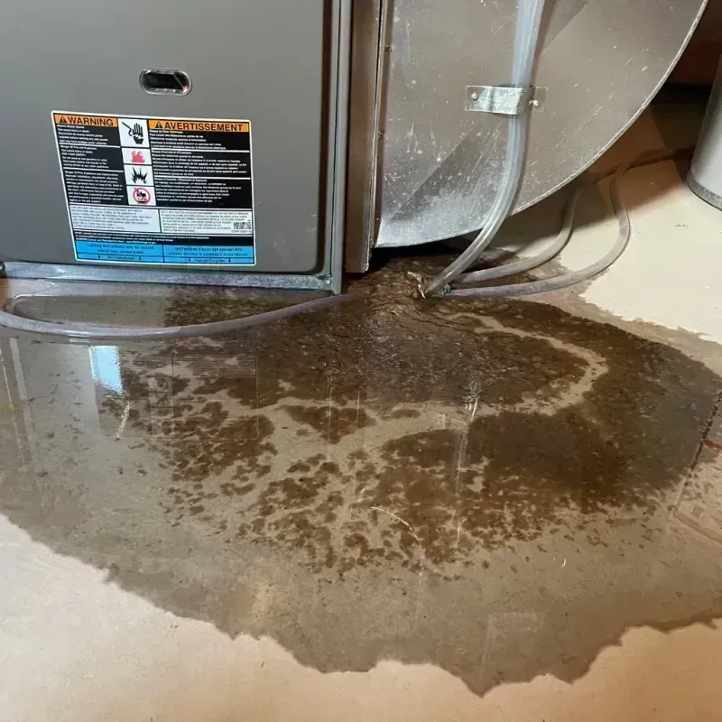 Appliance Leak Cleanup in Franklin Park, IL